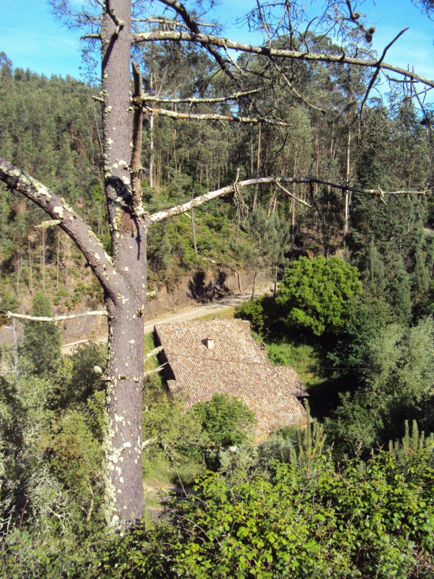 فيلا Parque Tematico Vale De Mouro المظهر الخارجي الصورة